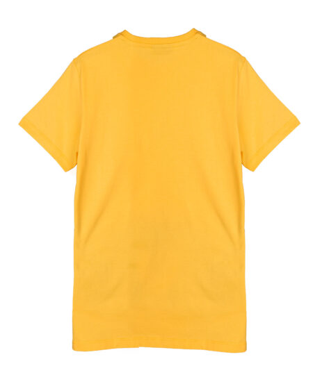 تیشرت مردانه 2001- زرد (7)